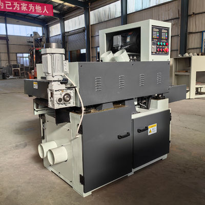 Potente motor de elevación de 0,37kw Planador de doble cara para la madera para la producción de contrachapados